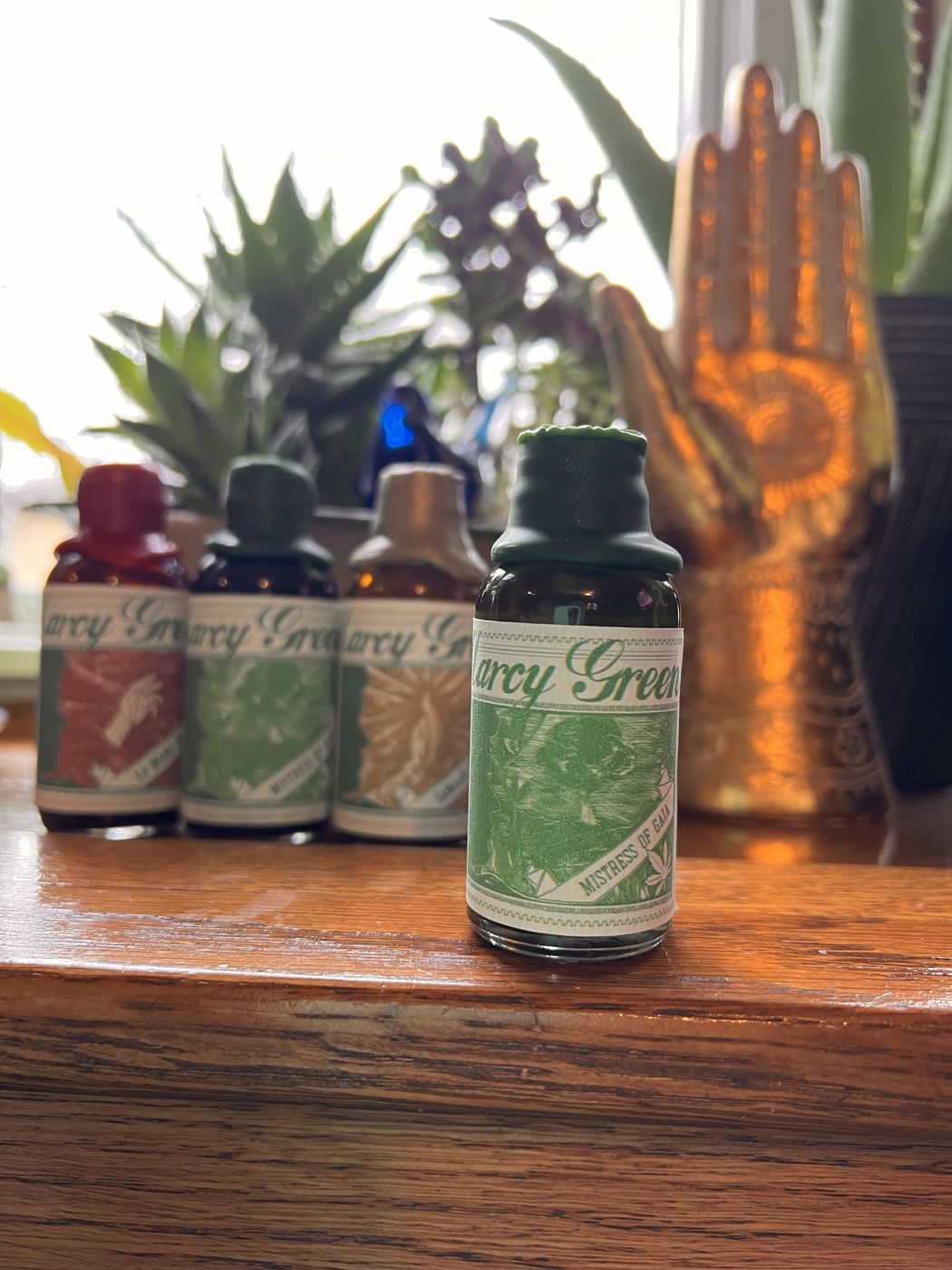 The three Marcy Green oils lined up in the window